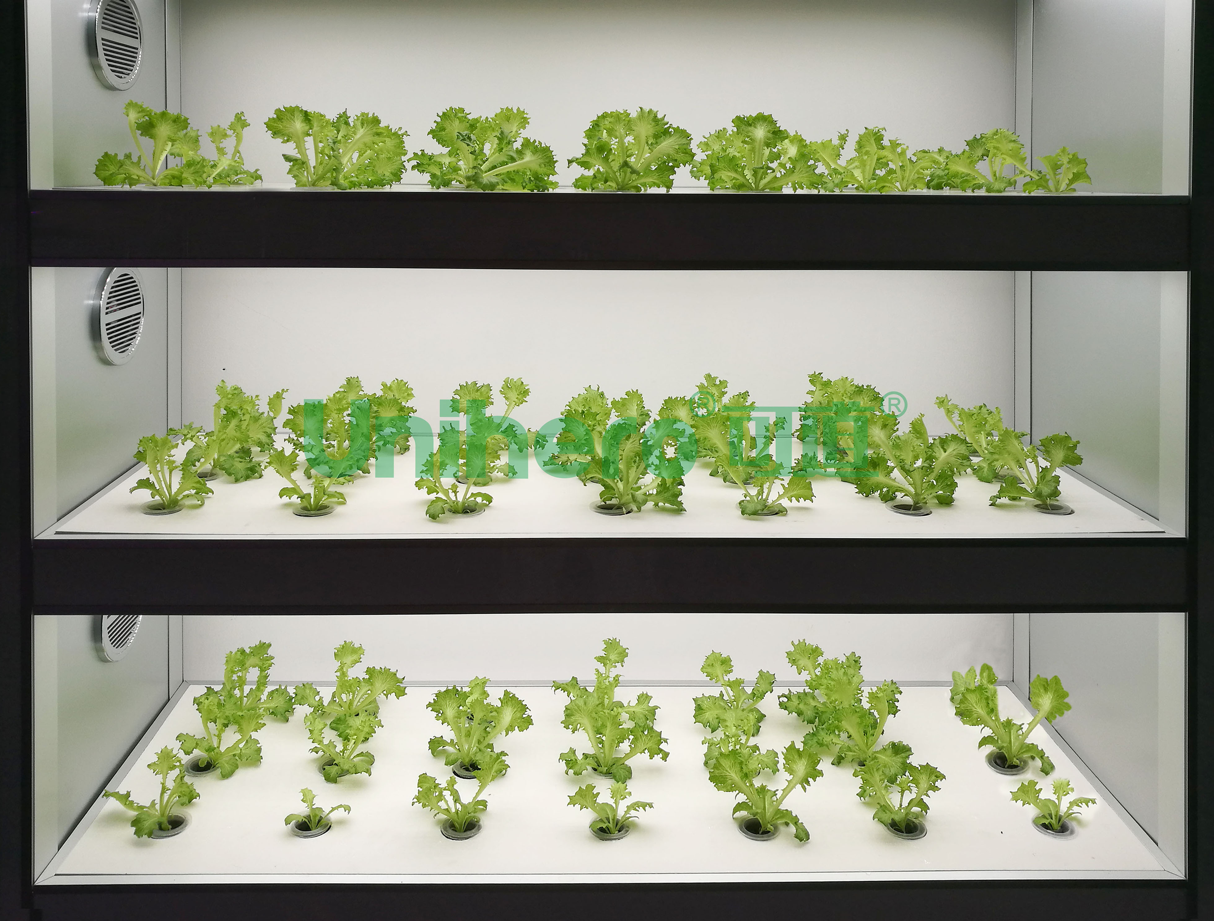 种植机1.jpg